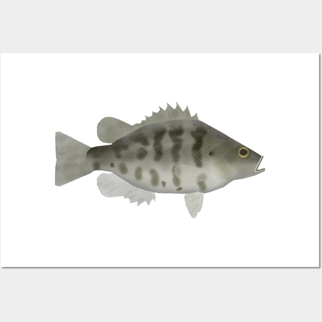 Sacramento perch Wall Art by FishFolkArt